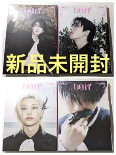 stray kids　DO IT　Accordion　CD　未開封