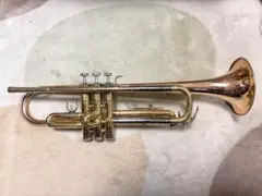 Item thumbnail for item 14c4771d-634f-4e9d-83f6-c8cebb7309f9