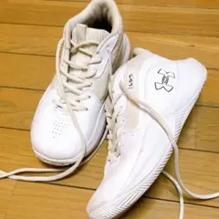 Item thumbnail for item 996a8660-286c-41e4-9d66-d38bf71ff04a