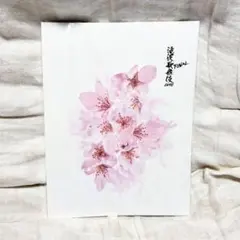 【新品未使用】滝沢歌舞伎ZERO FINAL パンフレット