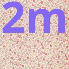 Item thumbnail for item cb72ce86-1095-4904-944c-89f84d1fbd12