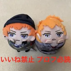 ヒプノシスマイク 毒島メイソン理鶯 無印、EW02 もちころりん セット