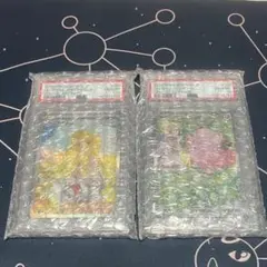 リーリエのピッピSAR リーリエの決心SAR psa10 ポケカ　ポケモンカード