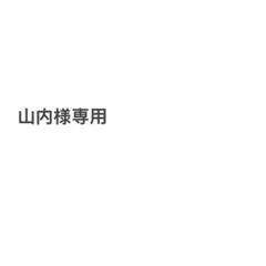 山内様専用