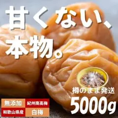 ☆農家直送！紀州南高梅 500g 梅 無添加 和歌山 紀州 白梅 3007 - メルカリ