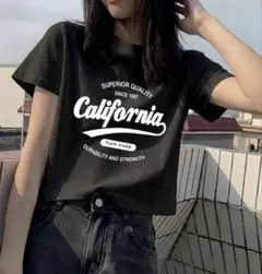 レディース半袖Ｔシャツ