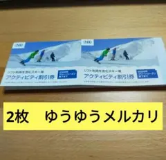日本駐車場開発　株主優待　リフト券　スキー場　アクティビティ割引券　2枚　匿名