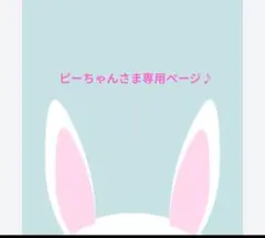 ピーちゃんさま専用ページ♪