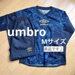 Item thumbnail for item 5df0f210-47fd-4a93-807d-fc3de6e0f646