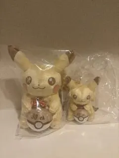 ポケモン 30周年 ピカチュウ ぬいぐるみ 2体セット