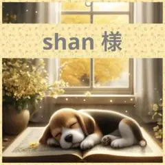 shan 様❤︎専用