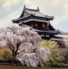 Item thumbnail for item 06733753-7587-4047-9a20-3951e4b0effa