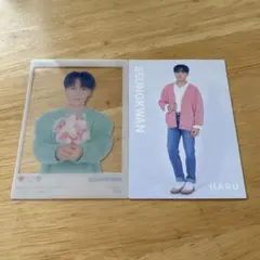 SEVENTEEN スングァン HARU トレカ