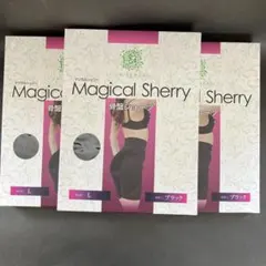 ChuhO様専用Magical Sherry 骨盤ガードル Lサイズ ブラックのサムネイル