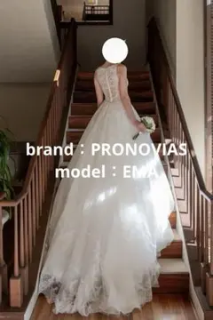 2025/12着用1stオーナーPRONOVIAS EMA7~9号クリーニング済のサムネイル