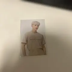seventeen carat land 2021 ホシ