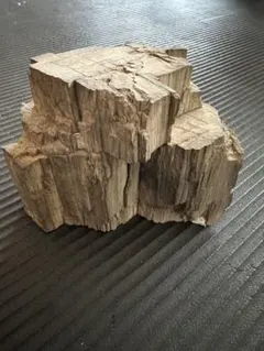 2026年最新】鑑賞木の人気アイテム - メルカリ