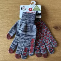 Item thumbnail for item f2fa5ee9-bd90-4fc7-9f7d-a9209cbda8b2