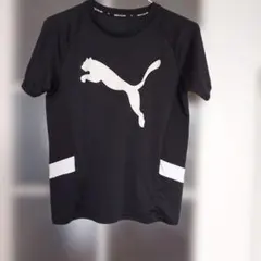 PUMA ブラック Tシャツ /used