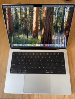 天安様専用Apple MacBook Pro 14インチ M1 Pro 32GB