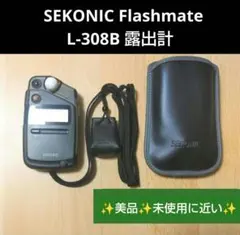 Item thumbnail for item 185e2694-0217-499d-a14a-e2d072b34ace