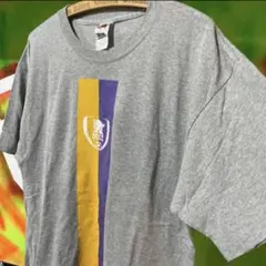 00s DCCC カレッジ レイカーズ カラー Tシャツのサムネイル