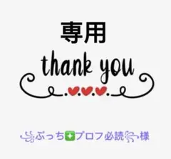 ꧁ぷっち❇プロフ必読꧂様専用