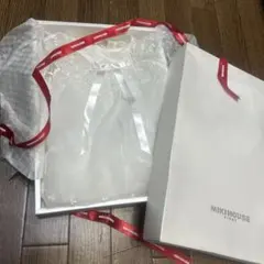 Item thumbnail for item 3adc7f86-7d21-42e0-b3c2-51748513455c