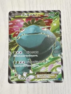 フシギバナEX SR XY1 コレクションX 061/060 ポケモンカード