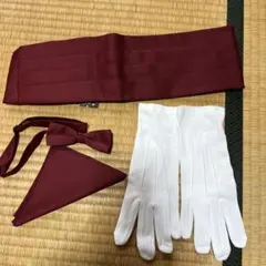 Item thumbnail for item 12d03475-b74c-4da7-8a28-fbb5383246da