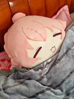 ちょこぷに ぬいぐるみ 小鳥遊ホシノ 1個 - メルカリ