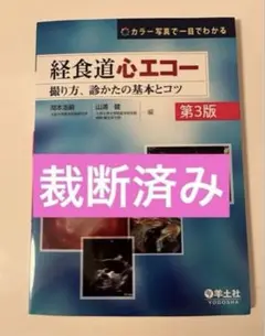 2026年最新】経食道心エコーの人気アイテム - メルカリ