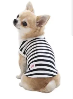 半額以下★美品★EDWIN 犬服　ペットパラダイス3S相当