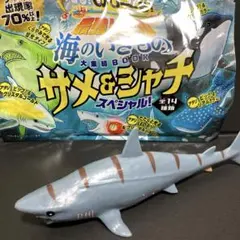 光る!のび〜る最強リアル海のいきもの サメ＆シャチ