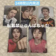 CORTIS トレカ 5枚セット weverse jp 先着 ラキドロ 未開封