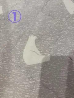 Item thumbnail for item d0f7618f-2616-4ad4-b37e-04e26b7b805b