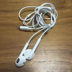 【ほぼ未使用】Apple純正イヤホン ライトニングイヤホン