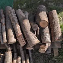 Item thumbnail for item ca803d10-2984-4f20-8255-2414c90f78eb