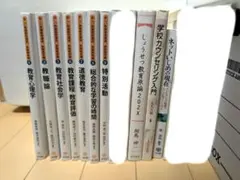 li様専用の出品となります