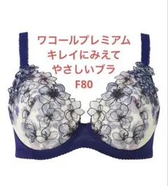 ワコールプレミアム　マタニティ授乳ブラ　F80