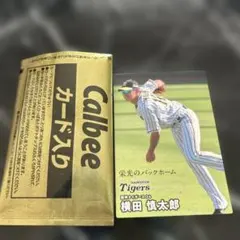 カルビー　横田慎太郎 トレーディングカード