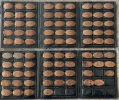 ディズニー SOUVENIR MEDALLION 58枚他 コレクションブック