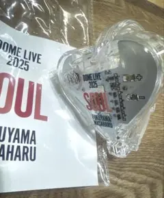 福山雅治 DOME LIVE 2025 SOUL シンクロライトバングル