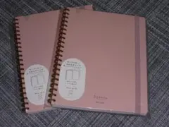 Item thumbnail for item f6ad3144-b9e0-40a6-bff8-613c52f37d05