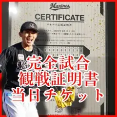 佐々木朗希　完全試合使用済チケット　直筆サイン無し 佐々木朗希 完全試合使用済チケット 直筆サイン無し 超レア
