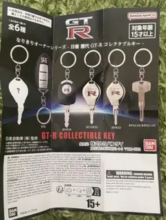 日産純正 BCNR33 スカイラインGT-R ブランクキースペアキーマスター