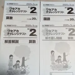 早稲田アカデミー　ワセアカチャレンジテスト　新小学2年生　2025年3月のサムネイル