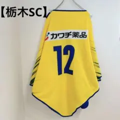 Item thumbnail for item 24afbf0b-fec8-4679-8517-3e04160f0e74