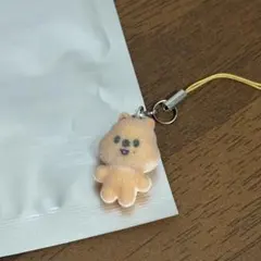 StrayKids ペンミ シークレットミニチャーム ハンクオッカ