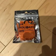 UNITED ARROWS UA HOLIDAYS 2025 キーホルダー